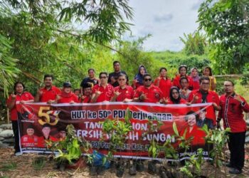 Rayakan Ulang Tahun Emas dan 76 Tahun Megawati, DPC PDI Perjuangan Kota Medan Lakukan Penghijauan di Bantaran Sungai