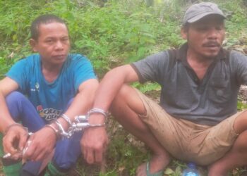Kerap Ancam Petani Kuala Beringin, 2 Pencuri ini Ditangkap Polisi