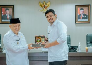 Bupati Malang Diskusi Dengan Bobby Nasution Terkait Peningkatan PAD Melalui Retribusi Parkir