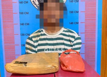 Sat Narkoba Polres Madina Ringkus Warga Sipapaga Saat Bawa Ganja