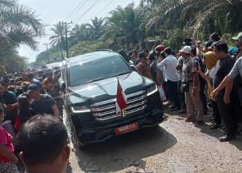 Tiba di Labura, Presiden Jokowi Tinjau Jalan Rusak 4 Kecamatan