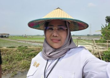 Antisipasi Krisis Pangan Akibat El Nino, Pemerintah Perkuat Ketahanan Pangan Lewat Kredit Usaha Rakyat (KUR) untuk Petani