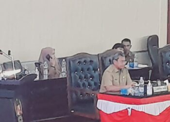 Fraksi Demokrat Harap P-APBD TA 2023 Mampu Bawa Perubahan dan Berbaikan Nyata Bagi Warga Kota Medan