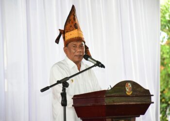 Bupati Deli Serdang : GDSM Berjalan Baik