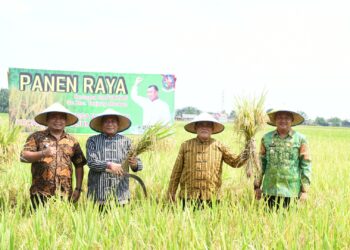 Panen Raya di Desa Wonosari , Bupati : Deli Serdang Penopang Kebutuhan Pangan Nasional