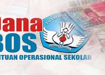 Terkait Penggunaan Dana BOS Reguler TA. 2022, Ini Klarifikasi Mantan Plt Kepsek SMA Negeri 1 Secanggang