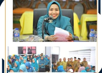Sekdakab dan Ketua TP PKK dr Hj Maya Buka Sosialisasi SIM PKK Labuhanbatu