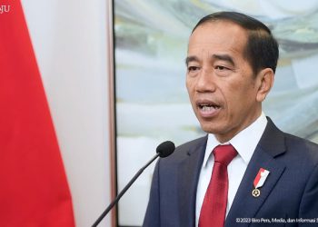 Jokowi: Indonesia Kecam Keras Tindak Kekerasan di Gaza
