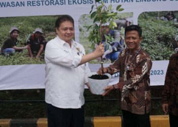 Lestarikan Sumber Air di Gunung Arjuna, Cargill dan Masyarakat lokal Tanam 5.000 pohon