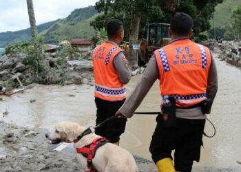 Bantu Pencarian Korban Longsor di Humbahas, Polda Sumut Turunkan Anjing Pelacak
