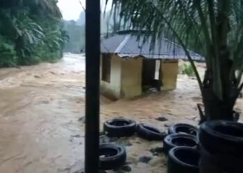 Banjir Bandang di Sungai Batang Natal, Bupati Madina Dan APH Harus Tindak Tegas Pelaku Ilegal Logging, Ilegal Mining Maupun Pelaku Galian C Ilegal