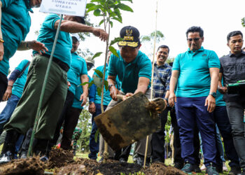 Perubahan Iklim Semakin Terasa, Pj Gubernur Sumut Ajak Masyarakat Galakkan Menanam Pohon