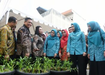 Pj. Walikota Tebing Tinggi Dampingi Pj. Ketua TP PKK Provsu Lakukan Kunjungan ke Posyandu Dan Gerak Tanam Cabai