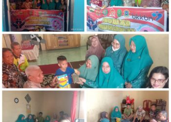 Bupati Asahan Serahkan Bantuan Makanan Tambahan Untuk Anak Stunting