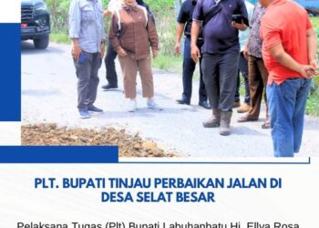 Hj Ellya Rosa Siregar Tinjau Perbaikan Jalan Bilah Hilir – Panai Hulu