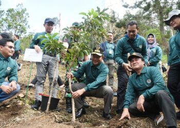 Rehabilitasi Lahan Kritis, Pj Gubernur Terus Dorong Gerakan Penanaman Pohon Berkesinambungan di Sumut