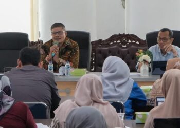 BRIDA Medan Monitoring dan Asistensi Penerapan SPBE Puja Indah