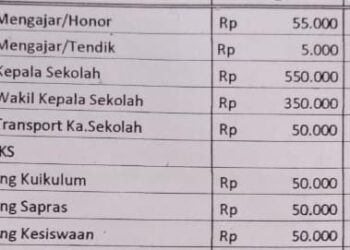 Segini Penyaluran Dana PIP di SMAN 1 Binjai – Langkat
