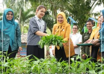 Kelurahan Pulo Brayan Bengkel Baru Sukses Optimalkan Pemanfaatan Lahan Tidur