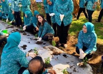 TP PKK Kota Medan Ikut Gertam Cabai secara Virtual