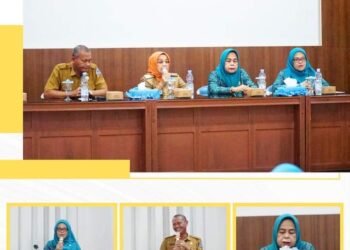 Hj Ellya Rosa Siregar Hadiri Rapat Sinkronisasi Pemantapan TP PKK