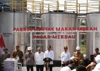 Presiden Jokowi Resmikan Pabrik Minyak Makan Merah Pagar Merbau Deli Serdang