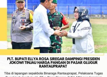 Presiden Jokowi Didampingi Plt Bupati Labuhanbatu Tinjau Harga Komoditas Pangan di Pasar Glugur