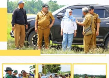 Plt Bupati Labuhanbatu Hj Ellya Rosa Bersama Dandim 0209/LB Tinjau Lahan Pembangunan Normalisasi Irigasi