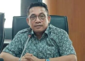 Edwin Sugesti : Pemerintah Wajib Berikan Perlindungan dan Pengembangan Terhadap UMKM