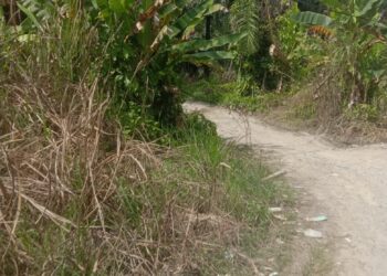 Saya Tidak Takut Ditangkap Polisi Beritakan Saya Jual Narkoba