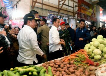 Bagikan Bantuan dan Kunjungi Pasar di Labuhanbatu, Pj Gubernur Apresiasi Perhatian Presiden pada Masyarakat Sumut