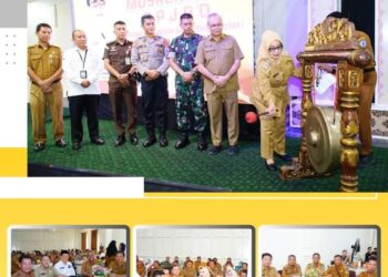 Plt Bupati  Labuhanbatu Buka Musrenbang RPJPD Tahun 2025-2045 