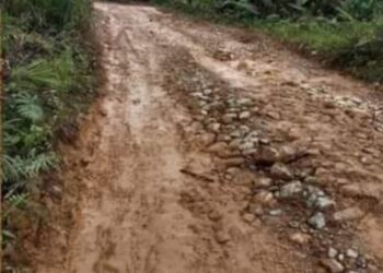 Masyarakat Lingga Bayu Harapkan Kepedulian Aswin Parinduri Jika Duduk Menjadi Anggota DPRD Sumut 