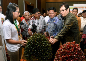 Sebagai Motor Utama Penggerak Perekonomian Sumut, Pj Gubernur Berharap Penataan Sawit Semakin Baik