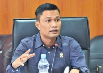 Haris Kelana : Rumah Sakit/Klinik Harus Kedepankan Pelayanan