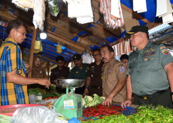 Kendalikan Inflasi, Pemkab Deli Serdang Monitoring Harga & Kebutuhan Pokok