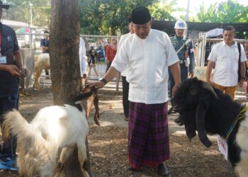 Peringati Hari Raya Idul Adha 1445 H, Pangkoarmada II Ikuti Sholat Ied di DBAL