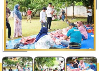 Plt Bupati Labuhanbatu Sembelih 4 Ekor Sapi Qurban 