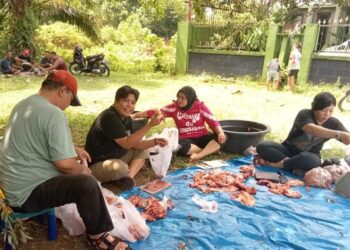 Rayakan Idul Adha 1445 Hijriah, PWPM dan Komunitas Kreatif Kota Medan Sembelih 2 Ekor Sapi