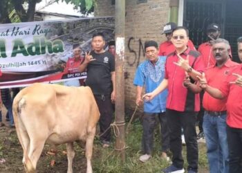 DPC PDI Perjuangan Kota Medan Serahkan Hewan Kurban Untuk 4 Kecamatan
