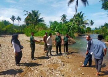 Distan Madina Tinjau Tanggul Jebol di Sungai Aek Sibontar