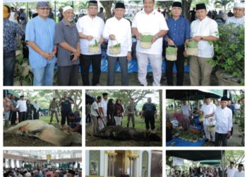 Sambut Idul Adha 1445 H Pemerintah Kabupaten Asahan Sembelih Hewan Qurban