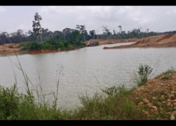 Aparat Penegak Hukum Diharapkan Tertibkan Tambang Emas Ilegal di Pantai Barat Madina