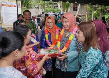 Kunjungi Posyandu di Gunungsitoli,  Pj Ketua PKK Sumut Ajak Masyarakat Senantiasa Manfaatkan Posyandu