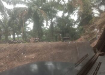 Forkopimda Labuhanbatu Terkesan Tidak Mampu Berantas Perdagangan Dan Peredaran Narkoba