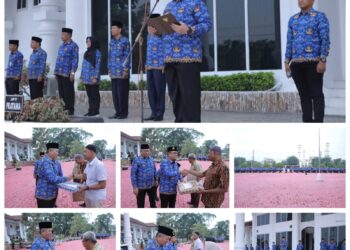 Plh Sekda Pimpin Upacara Hari Kesadaran Nasional
