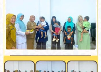 Plt Bupati Labuhanbatu Hj Ellya Rosa Siregar Ikuti Rapat Gerakan Penanganan Stunting se-Sumut 