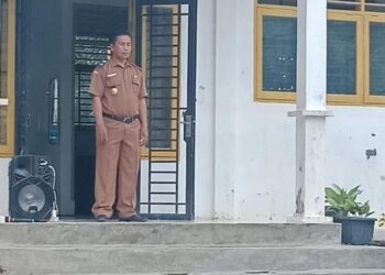 Miris, Kades Pematang Seleng S “Nyeleneh” Dan Kebakaran Jenggot Terkait Dugaan DD Fiktif