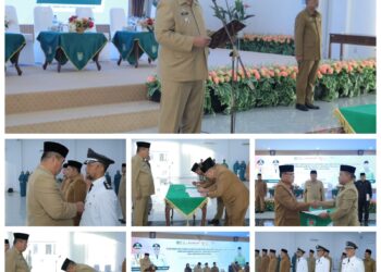 Wakil Bupati Asahan Lantik PPT Pratama