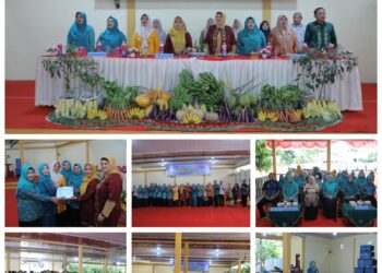 Masuk 6 Besar Lomba UP2K PKK Tingkat Provsu, Tim Evaluasi PKK Sumatera Utara Kunjungi Kelurahan Sentang